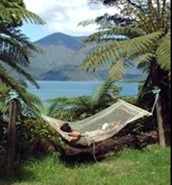 Lochmara Lodge - 20Mins By Boat From Picton Lochmara Bay Buitenkant foto
