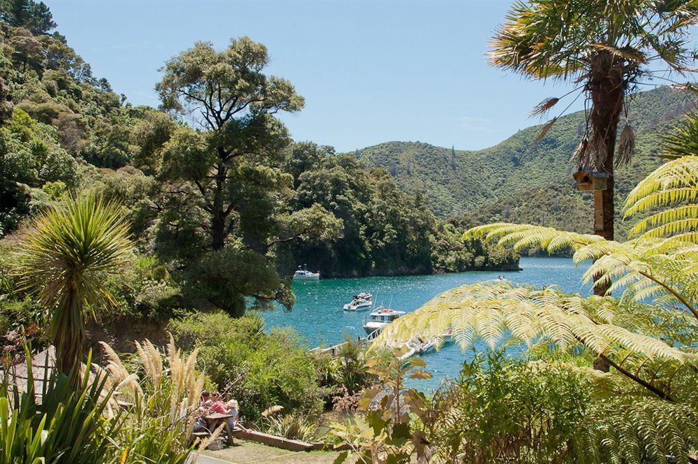 Lochmara Lodge - 20Mins By Boat From Picton Lochmara Bay Buitenkant foto