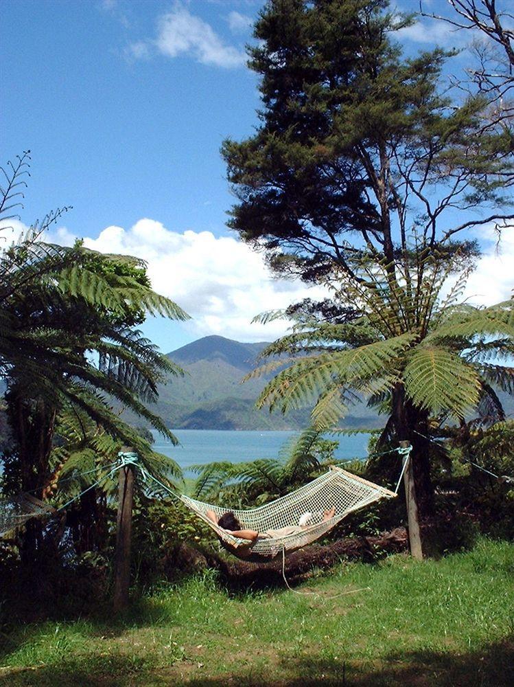 Lochmara Lodge - 20Mins By Boat From Picton Lochmara Bay Buitenkant foto