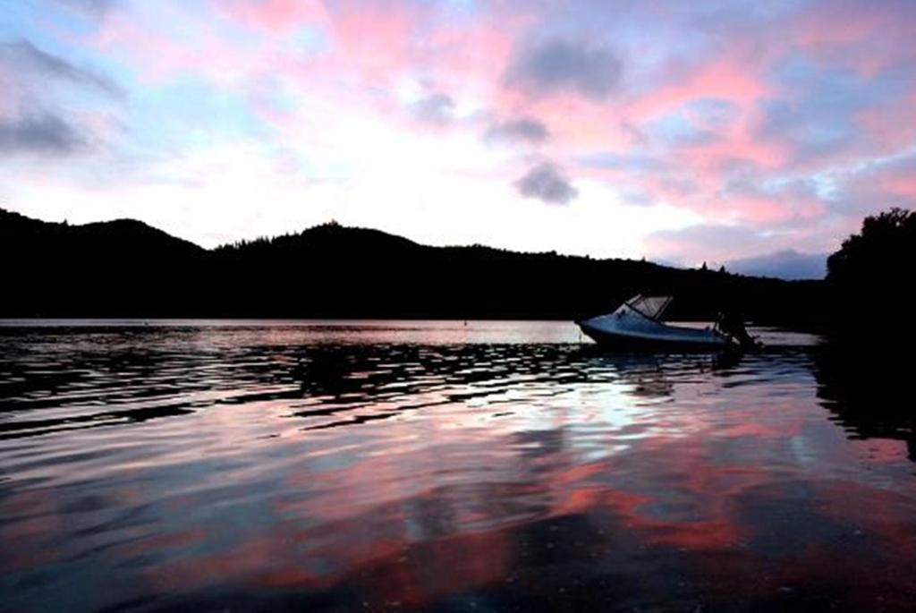 Lochmara Lodge - 20Mins By Boat From Picton Lochmara Bay Buitenkant foto