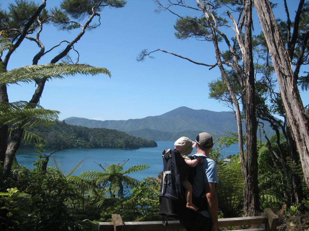 Lochmara Lodge - 20Mins By Boat From Picton Lochmara Bay Buitenkant foto