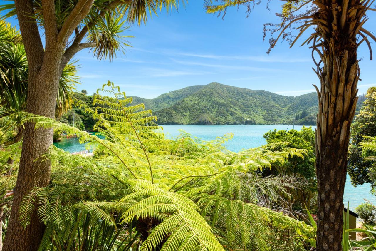 Lochmara Lodge - 20Mins By Boat From Picton Lochmara Bay Buitenkant foto